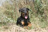 BEAUCERON 105